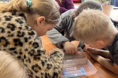 54307298361_655c1964b8_b