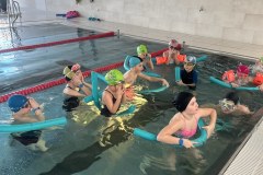 54307506345_d10f8bf662_b