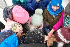 52676926549_92f1197e91_b