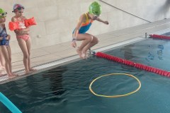 54307014356_34e4fb81b4_b